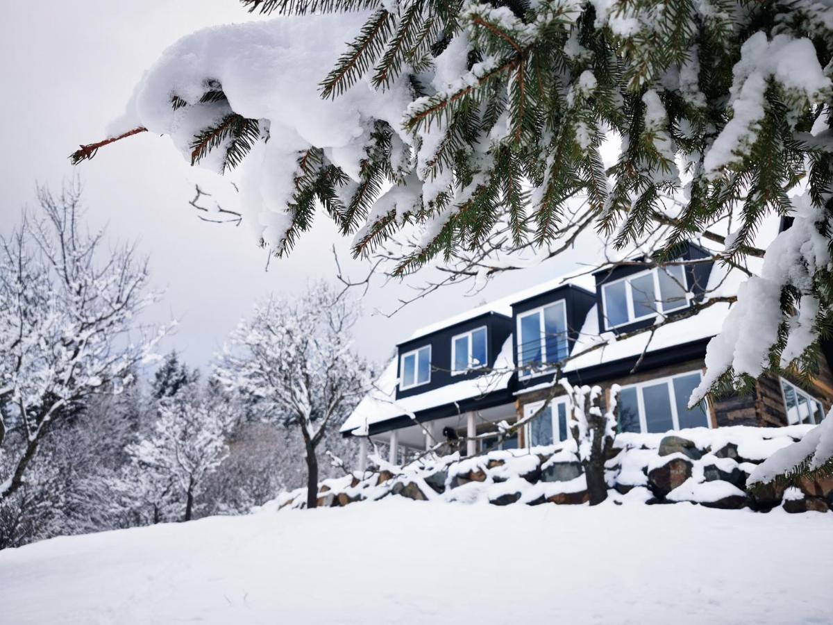 Doinita House Villa Borsa  Luaran gambar