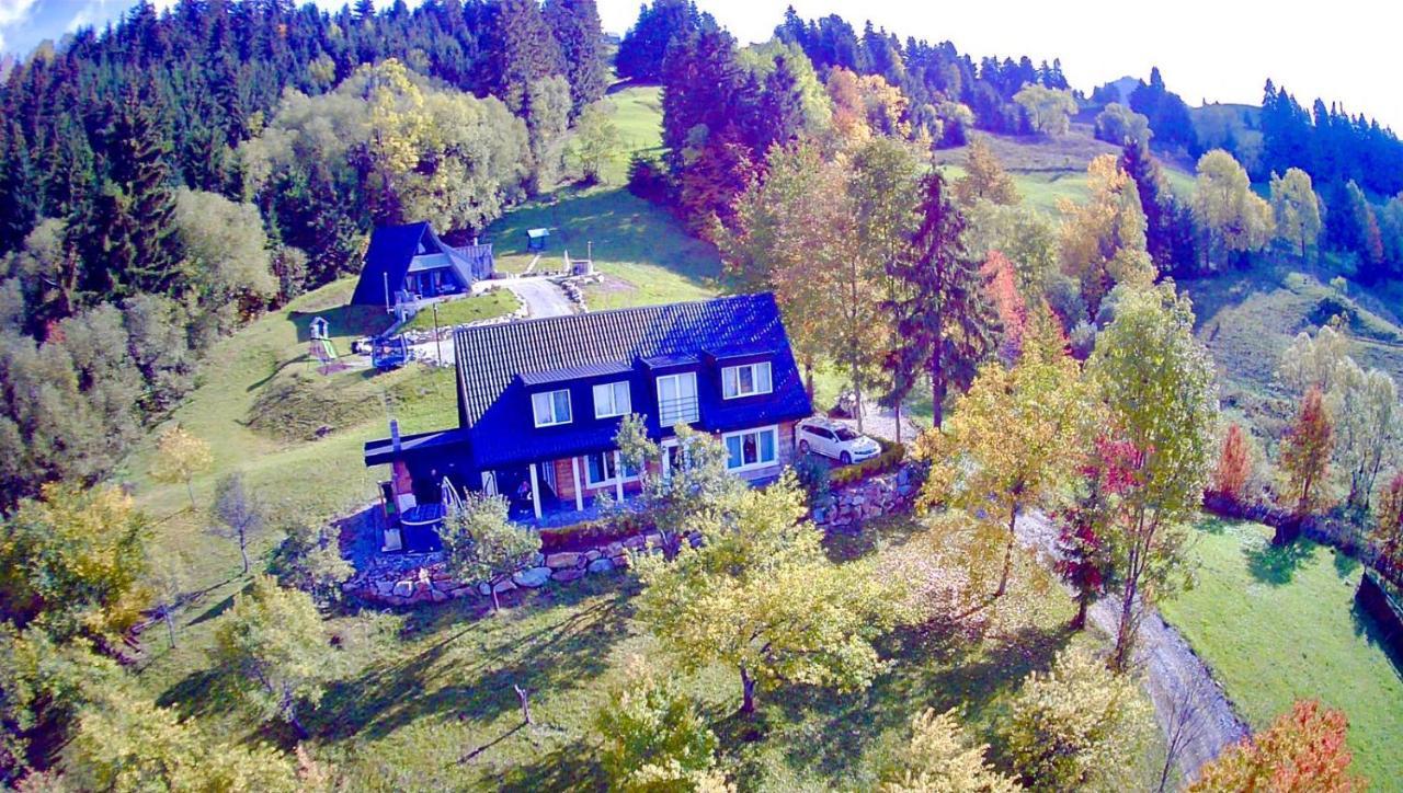 Doinita House Villa Borsa  Luaran gambar
