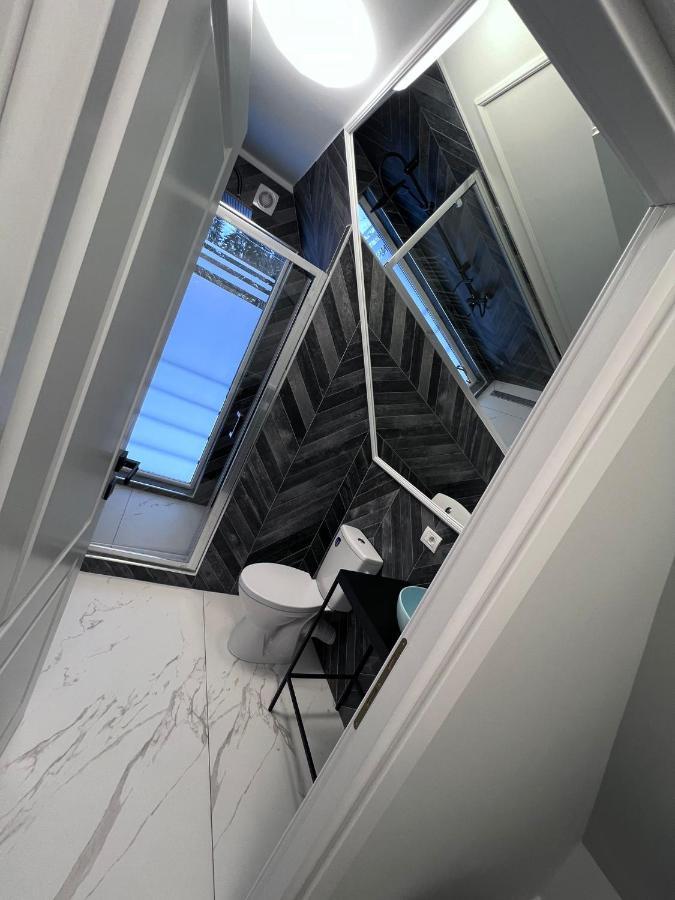 Doinita House Villa Borsa  Luaran gambar