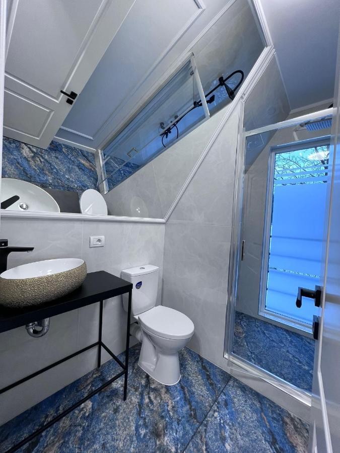 Doinita House Villa Borsa  Luaran gambar